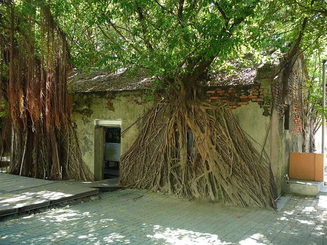 Anping Tree House